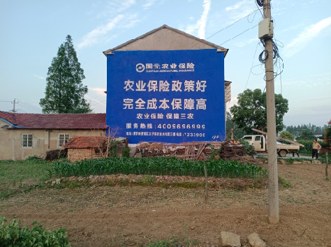 太康墙体广告为何受追捧？